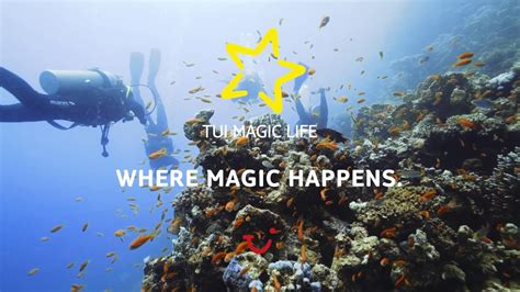 Tui magic life kalawy diving